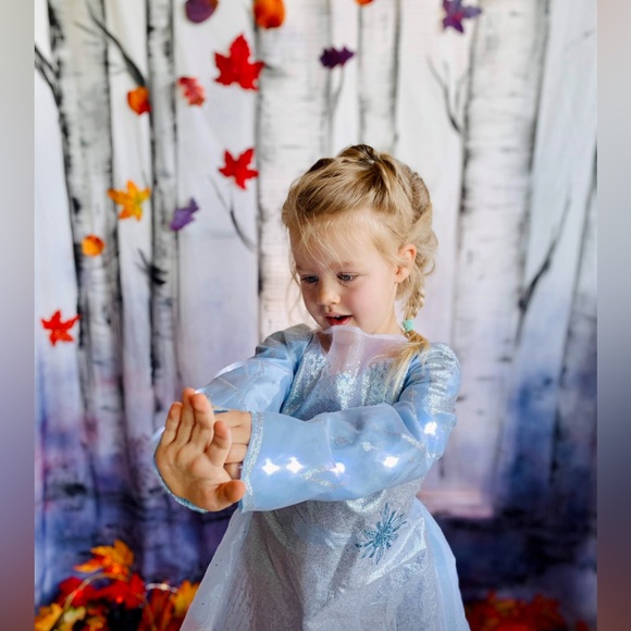 Frozen II backdrop - Picture 3 of 8